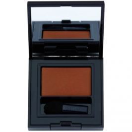Estée Lauder Pure Color Envy Matte dlhotrvajúce očné tiene s aplikátorom odtieň 25 Fierce Sable 1,8 g