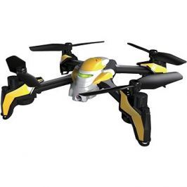 BML Phoenix HD