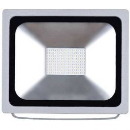 EMOS LED REFLEKTOR 50W PROFI