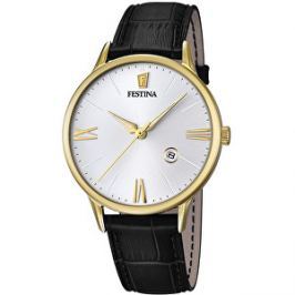 Festina Klasik 16825/1