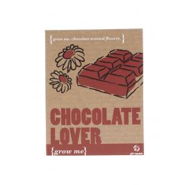 Súprava na vypestovanie čokolády Gift Republic Grow me
