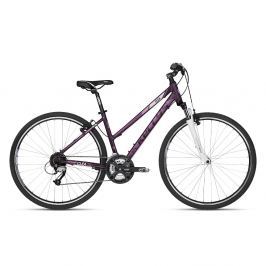 Kellys CLEA 70 28